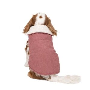 NEW Friends Forever Faux-Fur Lined Dog Coat